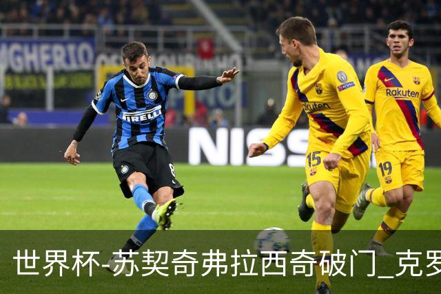 世界杯-苏契奇弗拉西奇破门 克罗地亚2-1加纳小组第二